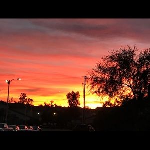 Meet your Posher, Araksya